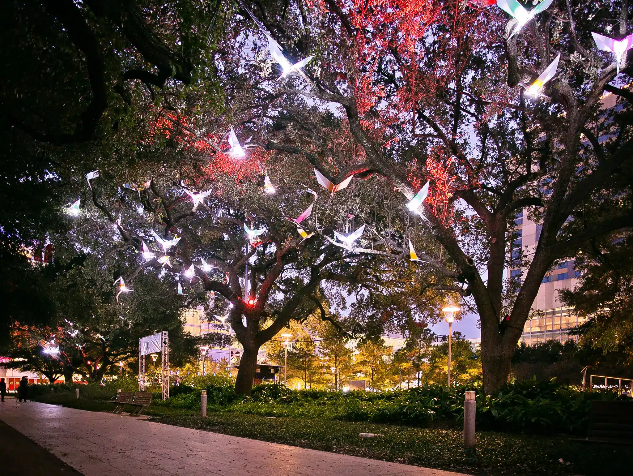 “Paloma” by Pitaya featuring “Here and Now” by Lina Dib